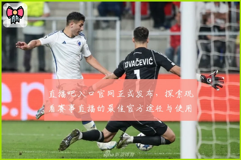 直播吧入口官网正式发布，探索观看赛事直播的最佳官方途径与使用攻略